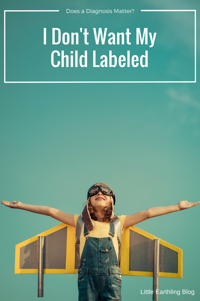 I don't want my child to be labeled and will a diagnosis even matter?