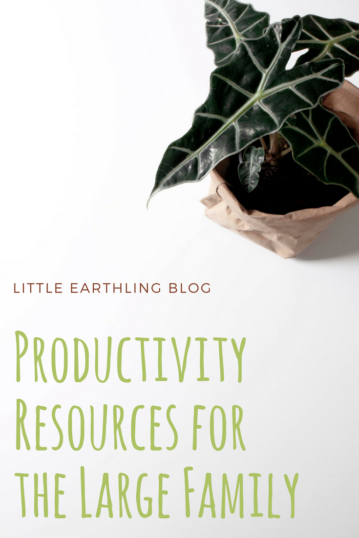 The best productivity resources for large families