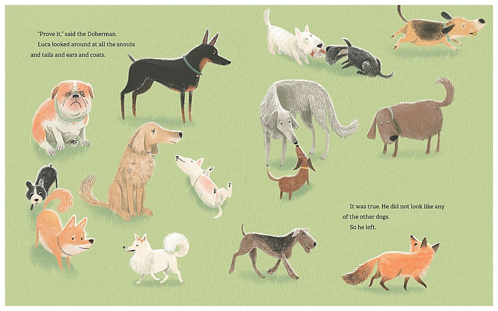 I am Not a Fox teachs about love and acceptance.